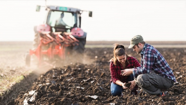 Γεωργικές Συμβουλευτικές Υπηρεσίες: Έως 14/2/25 η  διαβούλευση 